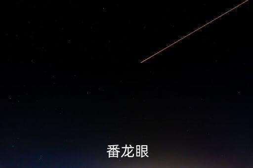 番龙眼