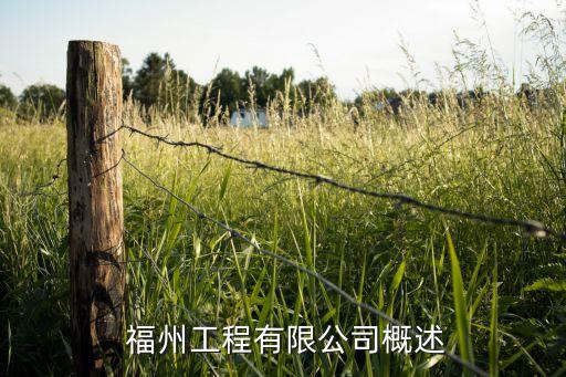 福州工程有限公司概述