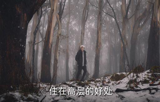 住在高层的好处