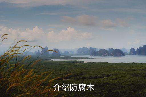 介绍防腐木