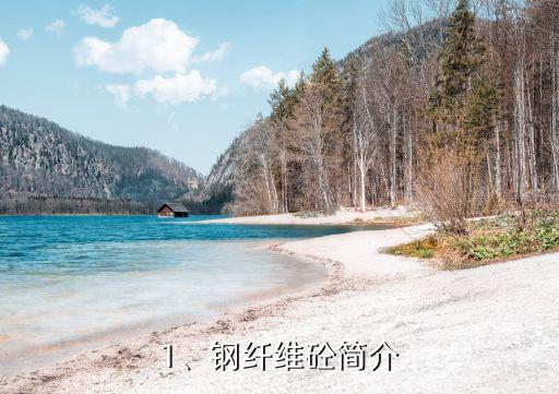 1、钢纤维砼简介