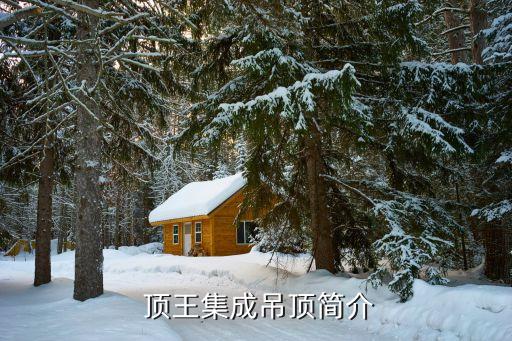 顶王集成吊顶简介