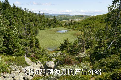 飞科871剃须刀的产品介绍