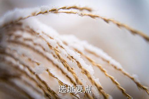 选址要点