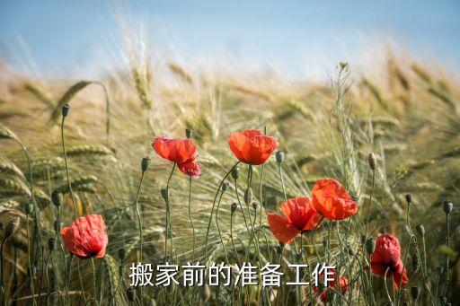 搬家前的准备工作