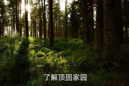 了解顶固家园