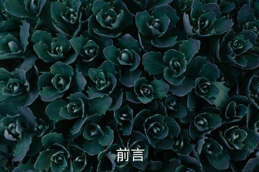 前言