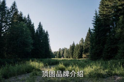 顶固品牌介绍