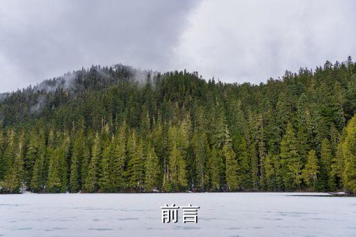 前言