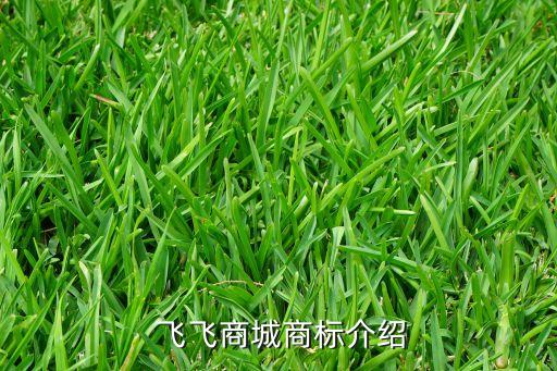 飞飞商城商标介绍