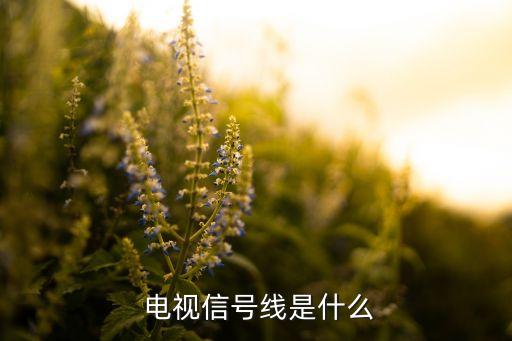 电视信号线是什么