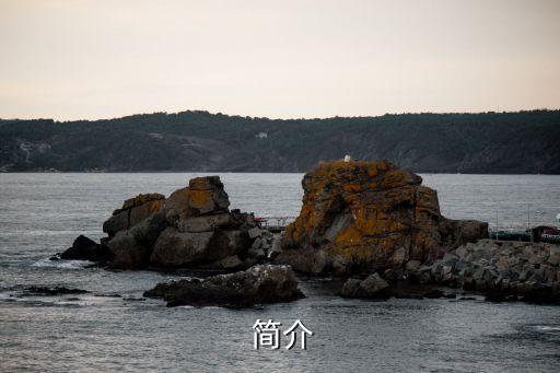 简介