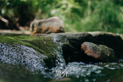简介