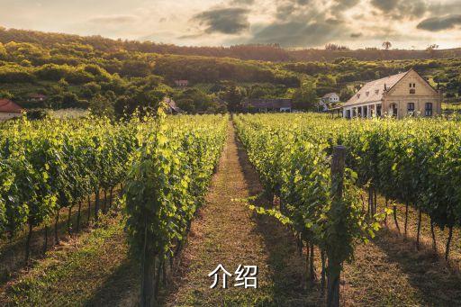 介绍