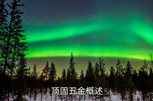 顶固五金概述