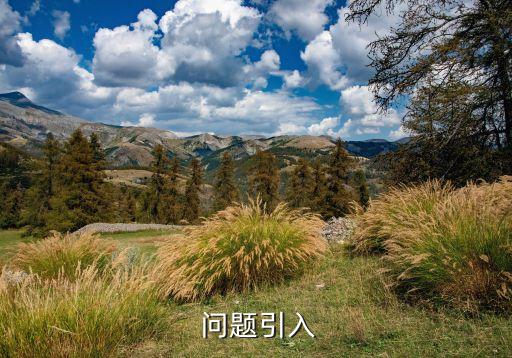 问题引入