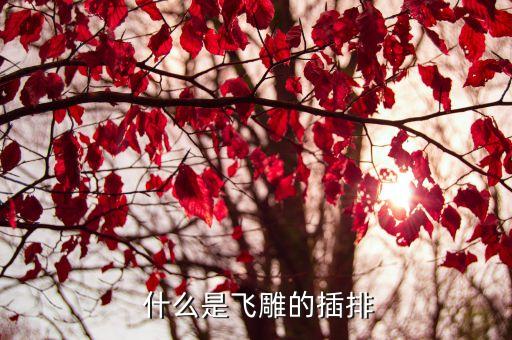什么是飞雕的插排