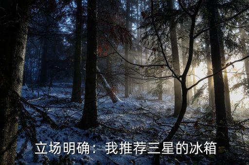 立场明确:我推荐三星的冰箱