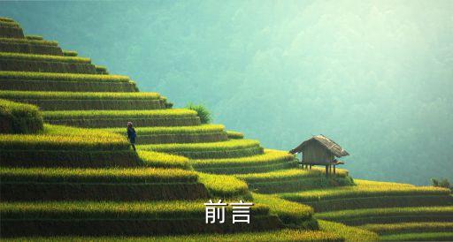 前言