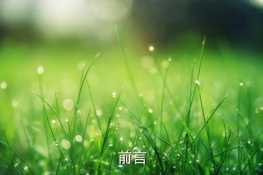 前言