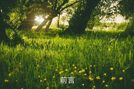 前言