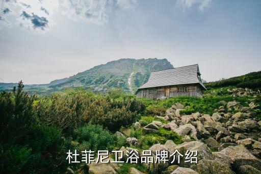杜菲尼卫浴品牌介绍