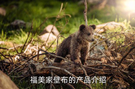福美家壁布的产品介绍