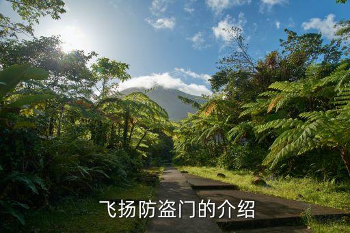飞扬防盗门的介绍