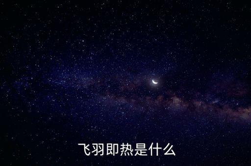 飞羽即热是什么