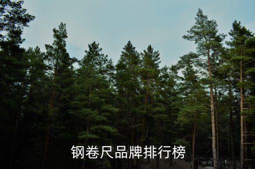 钢卷尺品牌排行榜