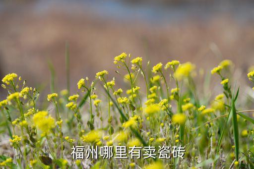 福州哪里有卖瓷砖