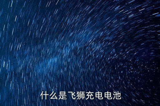 什么是飞狮充电电池