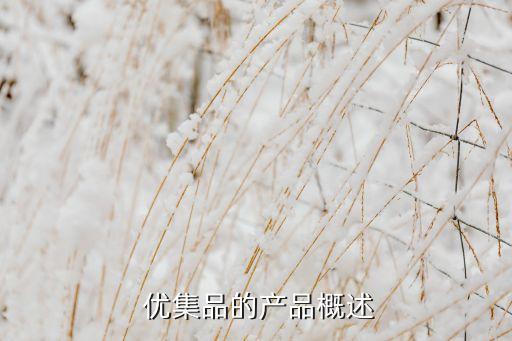 优集品的产品概述