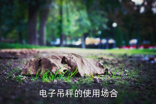 电子吊秤的使用场合