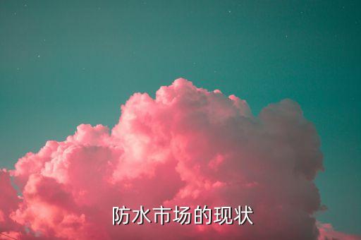 防水市场的现状