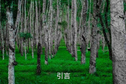 引言