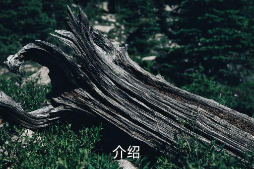 介绍