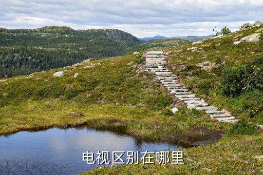 电视区别在哪里