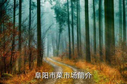 阜阳市菜市场简介