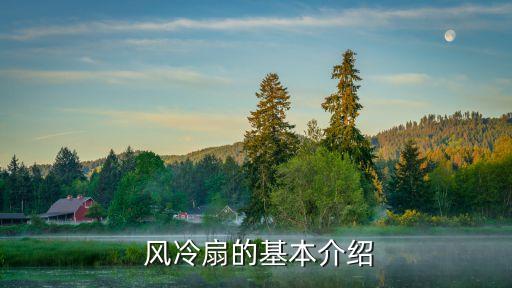 风冷扇的基本介绍