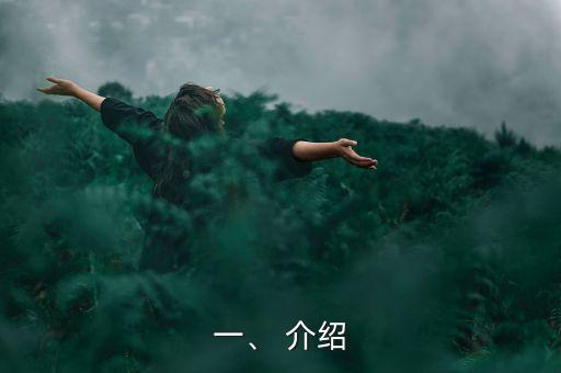 一、 介绍