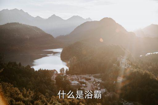什么是浴霸
