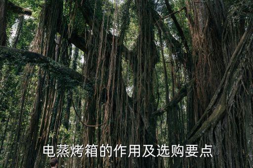 电蒸烤箱的作用及选购要点