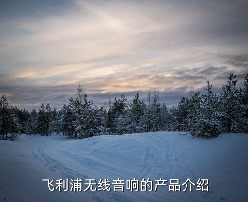 飞利浦无线音响的产品介绍