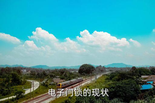 电子门锁的现状