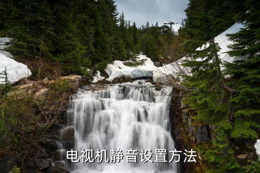 电视机静音设置方法
