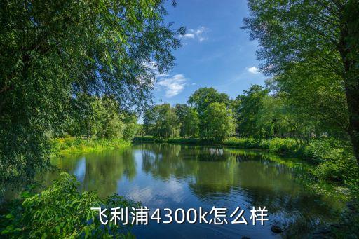 飞利浦4300k怎么样