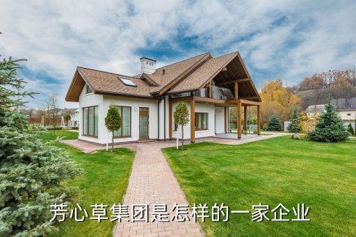 芳心草集团是怎样的一家企业
