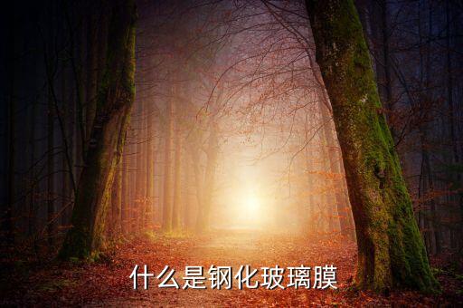 什么是钢化玻璃膜
