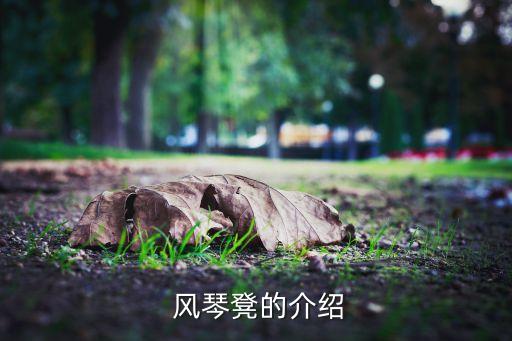 风琴凳的介绍